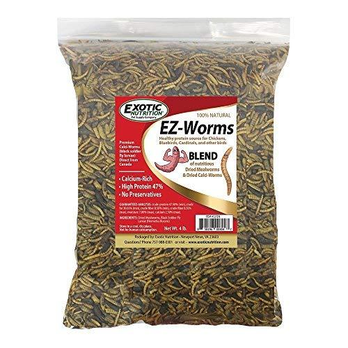 Algopix Similar Product 2 - Exotic Nutrition EZ-Worms (4 lb.)