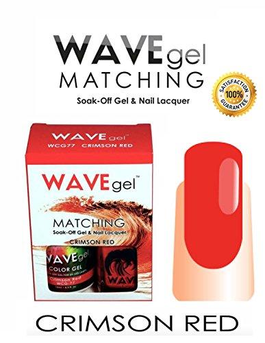 Algopix Similar Product 17 - Wave Gel Matching Color Collection Pick