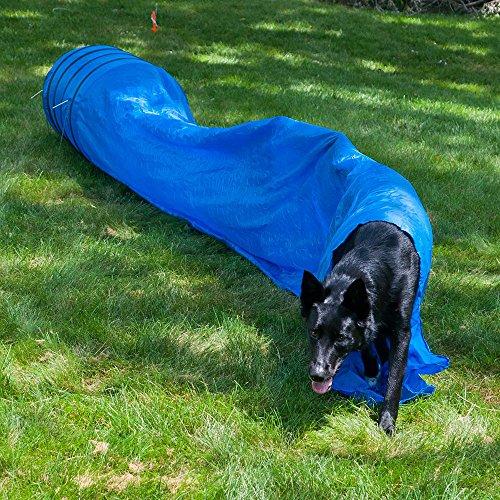 Algopix Similar Product 2 - Lixit Dog Agility Closed Tunnel  16