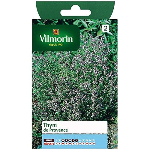 Algopix Similar Product 20 - Vilmorin - Thyme of Provence