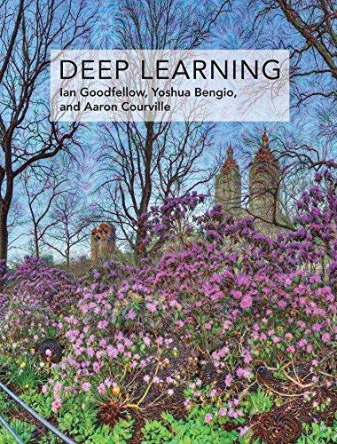 Algopix Similar Product 5 - Deep Learning Adaptive Computation and