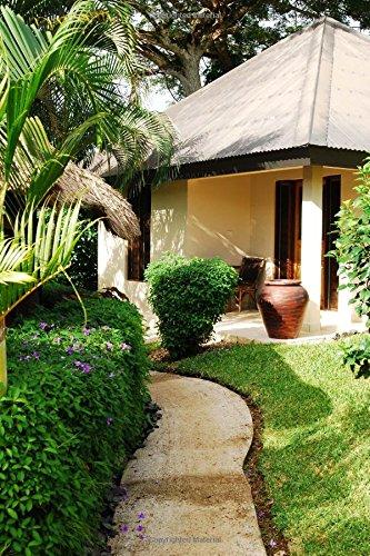 Algopix Similar Product 18 - Tropical Resort at Efate Island Vanuatu