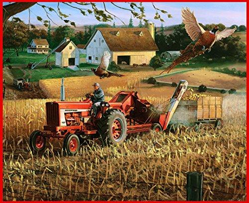 Algopix Similar Product 8 - International Harvester Farmall 806