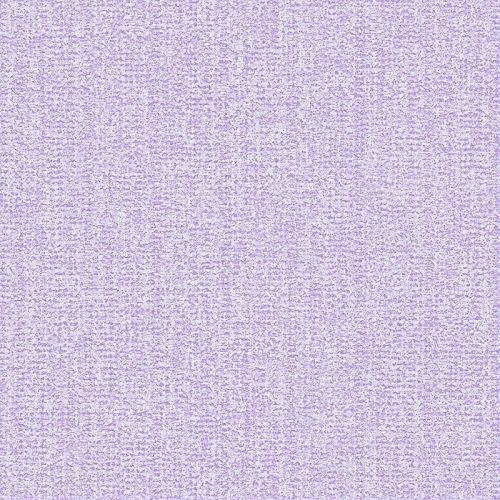 Algopix Similar Product 17 - Norwall CM28627 Cheeky Monkeys Wallpaper