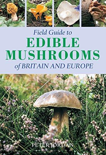 Algopix Similar Product 16 - Field Guide To Edible Mushrooms Of