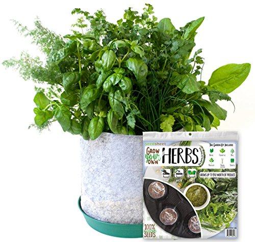 Algopix Similar Product 14 - Grow Your Own Herbs Partial Kit  AS