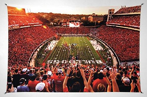 Algopix Similar Product 12 - UGA Georgia Bulldogs Photo Poster