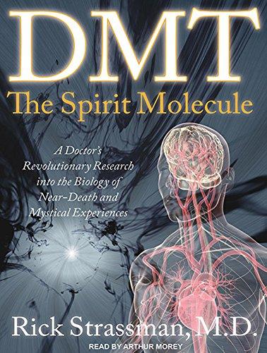 Algopix Similar Product 14 - DMT The Spirit Molecule A Doctors