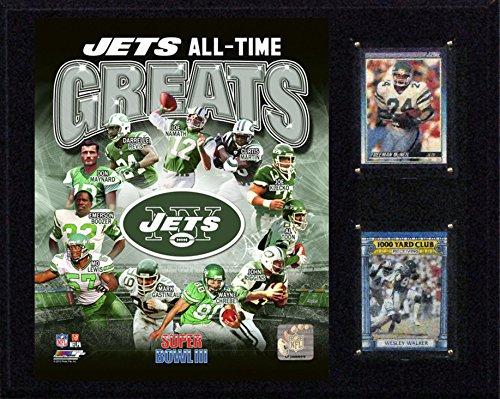 Algopix Similar Product 9 - CI Collectables NFL New York Jets