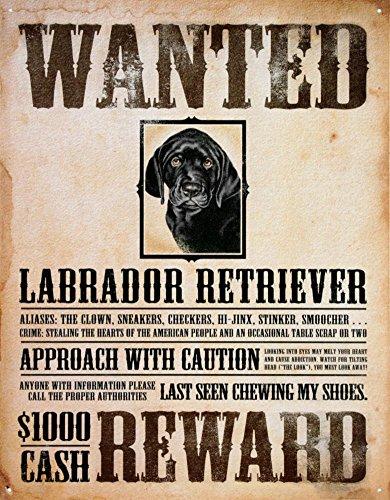 Algopix Similar Product 14 - Black Lab  Wanted Poster Metal Tin