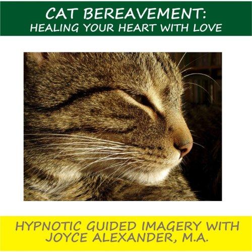 Algopix Similar Product 19 - Stress Management Thru Hypnotherapy In