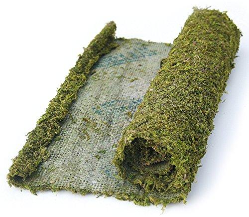 Algopix Similar Product 10 - Instant Green All Purpose MossMat