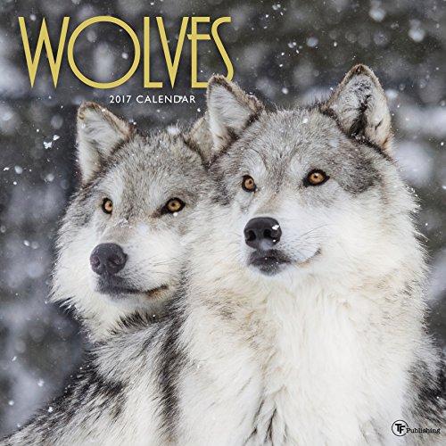 Algopix Similar Product 10 - 2017 Wolves Wall Calendar
