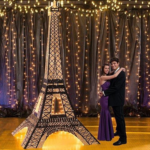 Algopix Similar Product 3 - 11 ft 7 in Tres Chic 3D Paris France