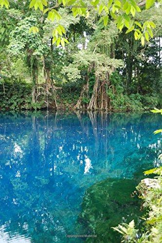 Algopix Similar Product 5 - Matavulu Blue Hole in Espirito Santo