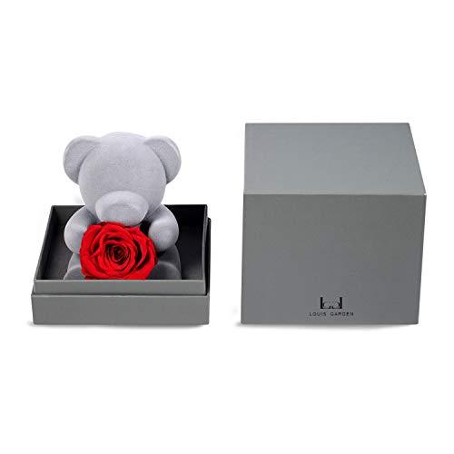 Algopix Similar Product 11 - Louis Garden Handmade Preserved Fresh