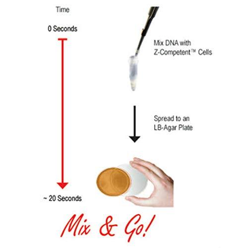 Algopix Similar Product 19 - Zymo Research T3001 Mix and Go Ecoli