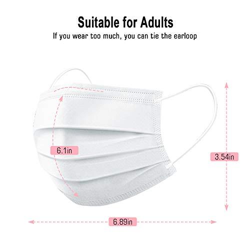 Algopix Similar Product 2 - FWPP Breathable Earloop Disposable Face