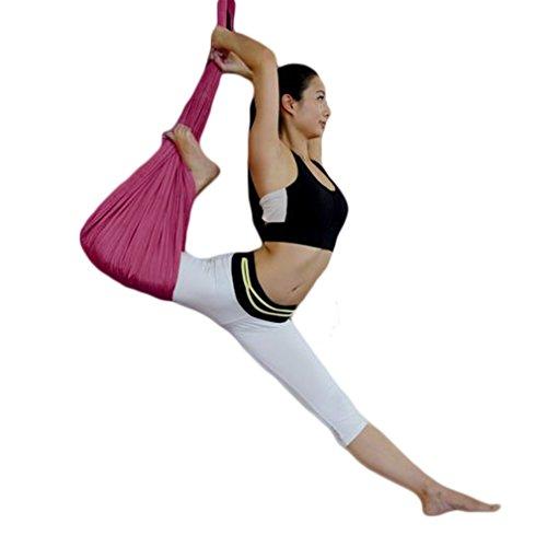 Algopix Similar Product 16 - WELOVE Aerial Yoga SwingHammock