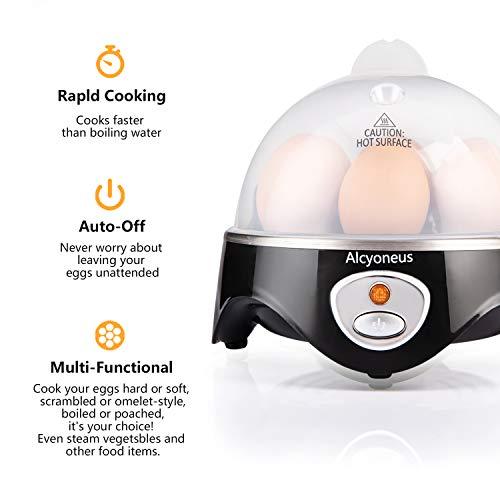 Algopix Similar Product 17 - Alcyoneus Rapid Electric Egg