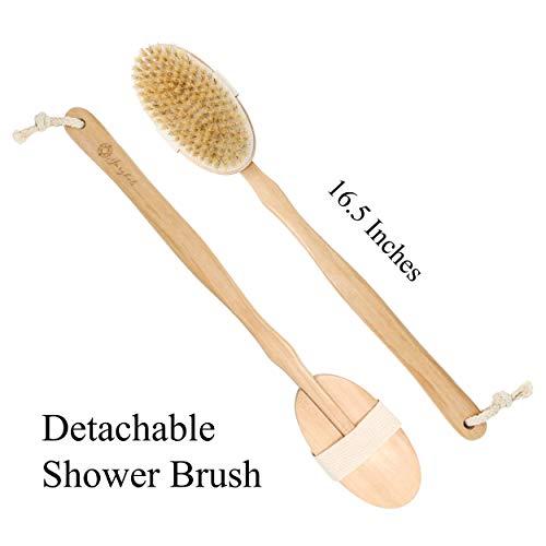 Algopix Similar Product 18 - 6 Pcs Premium Boar Bristle Shower Brush