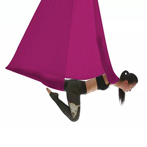 Algopix Similar Product 9 - WELOVE Aerial Yoga SwingHammock