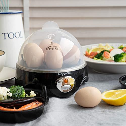 Algopix Similar Product 4 - Alcyoneus Rapid Electric Egg