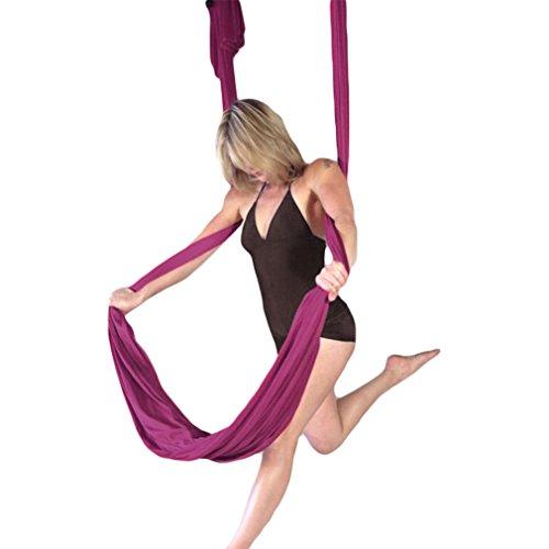 Algopix Similar Product 19 - WELOVE Aerial Yoga SwingHammock