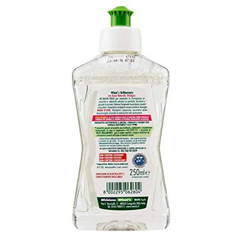 Algopix Similar Product 11 - Winnis Dishwasher Rinse Aid 250ml 
