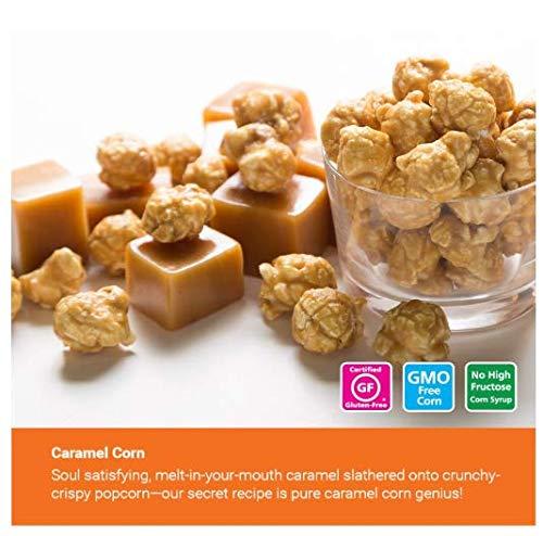 Algopix Similar Product 8 - Popcornopolis Variety Popcorn Gift