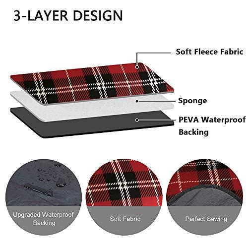 Algopix Similar Product 1 - ShellKingdom Outdoor Picnic Blanket