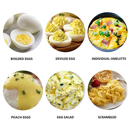 Algopix Similar Product 18 - Alcyoneus Rapid Electric Egg