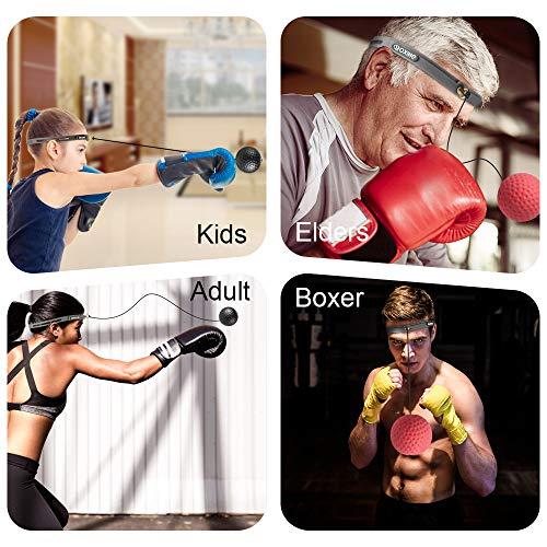 Algopix Similar Product 1 - iFSK Boxing Fight Reflex Ball Training