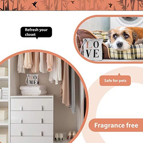 Algopix Similar Product 5 - Qendon Bamboo Charcoal Air Purifying