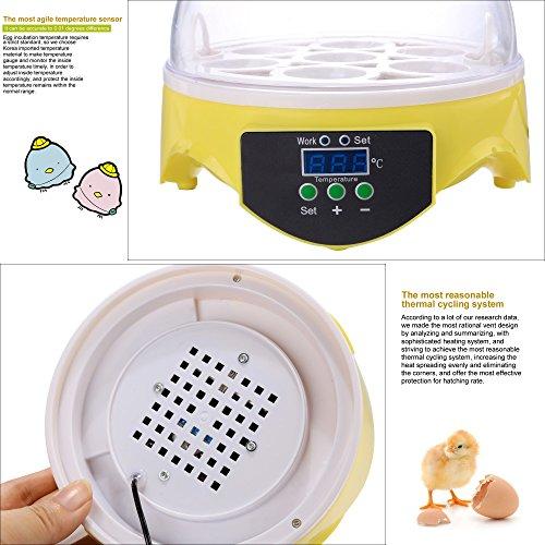 Algopix Similar Product 4 - Currens Egg Incubator New Digital Mini