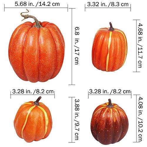 Algopix Similar Product 10 - Winlyn Package of 6 Assorted Size
