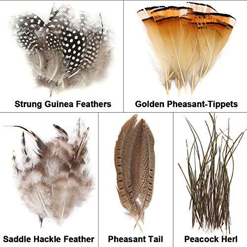 Algopix Similar Product 4 - XFISHMAN FlyTyingMaterialskit 10 in