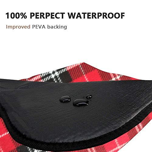 Algopix Similar Product 8 - ShellKingdom Outdoor Picnic Blanket