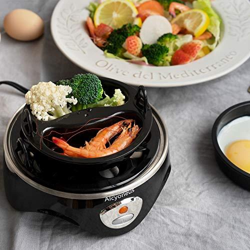 Algopix Similar Product 15 - Alcyoneus Rapid Electric Egg