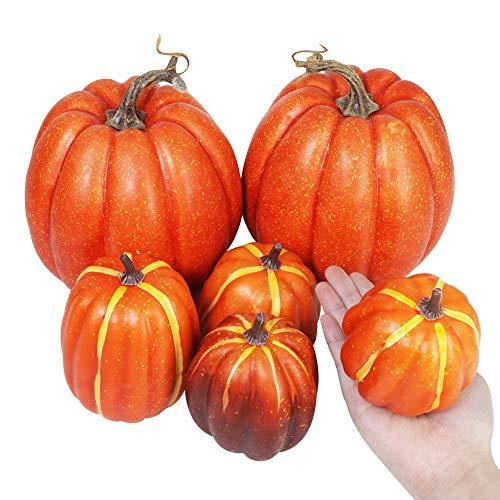 Algopix Similar Product 12 - Winlyn Package of 6 Assorted Size