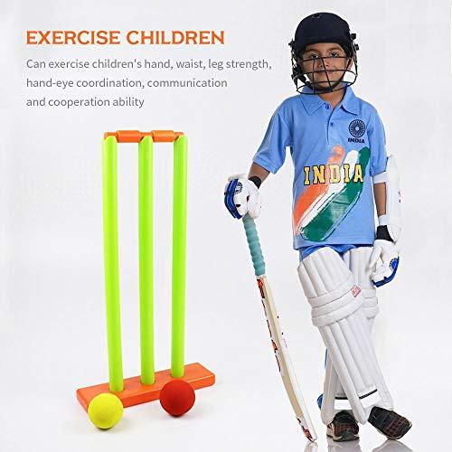 Algopix Similar Product 11 - Hamkaw Kids Cricket Set Cricket Stumps