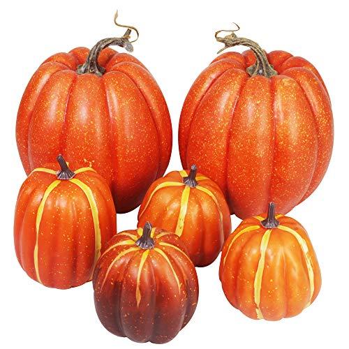 Algopix Similar Product 14 - Winlyn Package of 6 Assorted Size