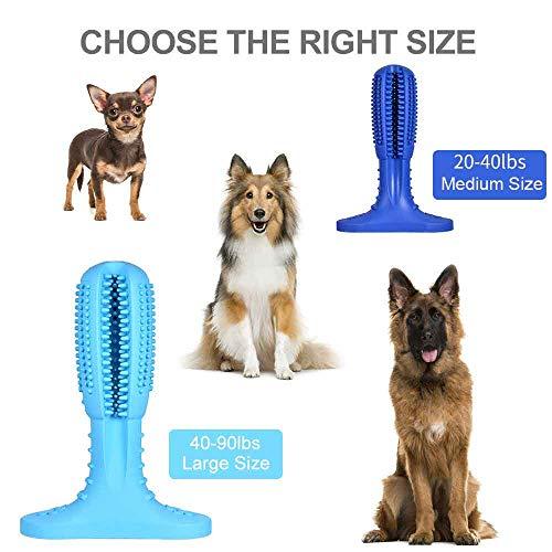 Algopix Similar Product 15 - Ipure items Dog Toothbrush Chew Toys 