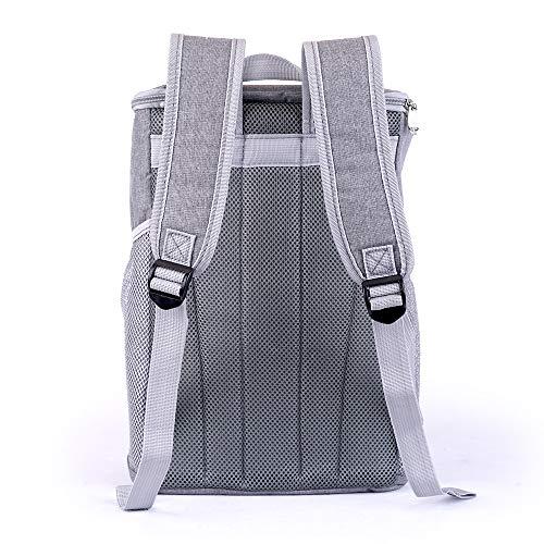 Algopix Similar Product 16 - Cooler Backpack Insulated Waterproof