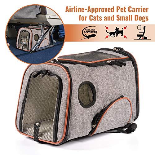Algopix Similar Product 4 - Pawfect Pets SoftSided Pet Carrier