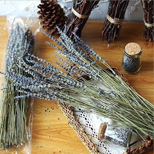 Algopix Similar Product 10 - Lavender Bundles with 200 PCS Lavender