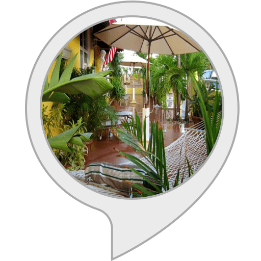 Algopix Similar Product 16 - Tropical Lounge Music