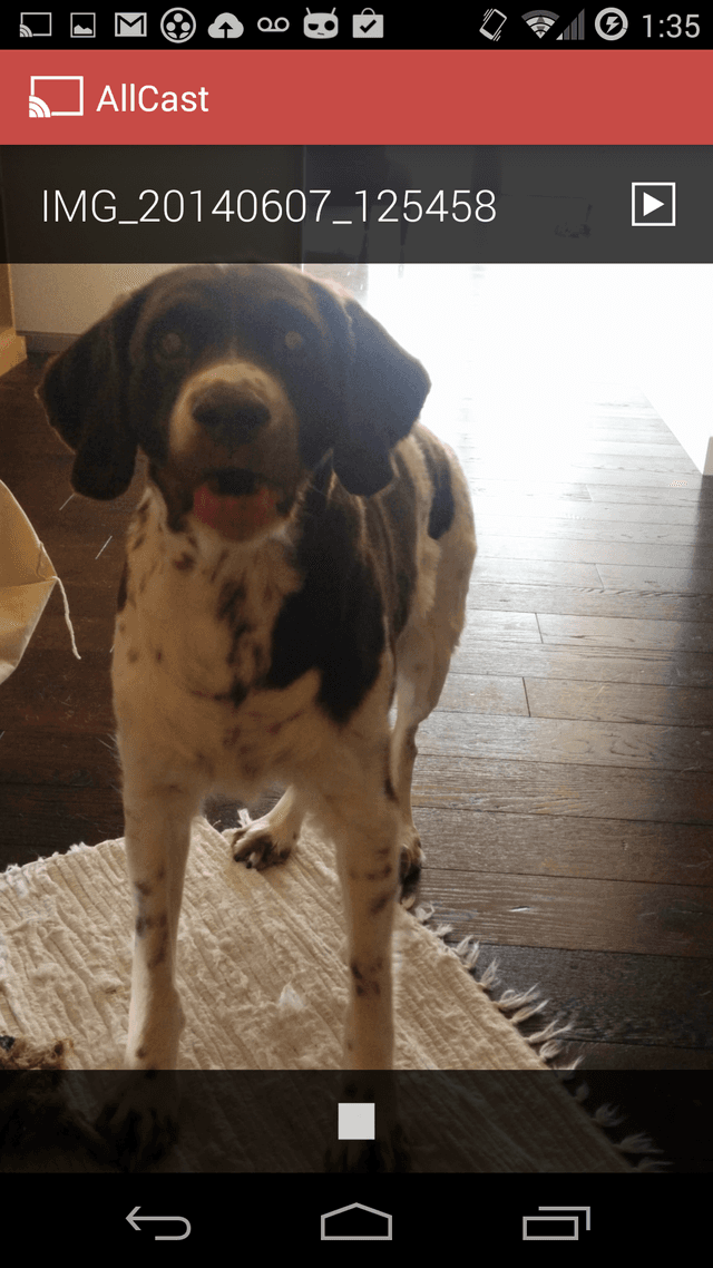 Algopix Similar Product 14 - AllCast