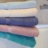 Algopix Similar Product 3 - Oxford Imperiale Vat Dyed Hotel Blue