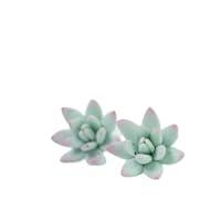 Algopix Similar Product 14 - Succulent Stud Earrings  Lilac Purple